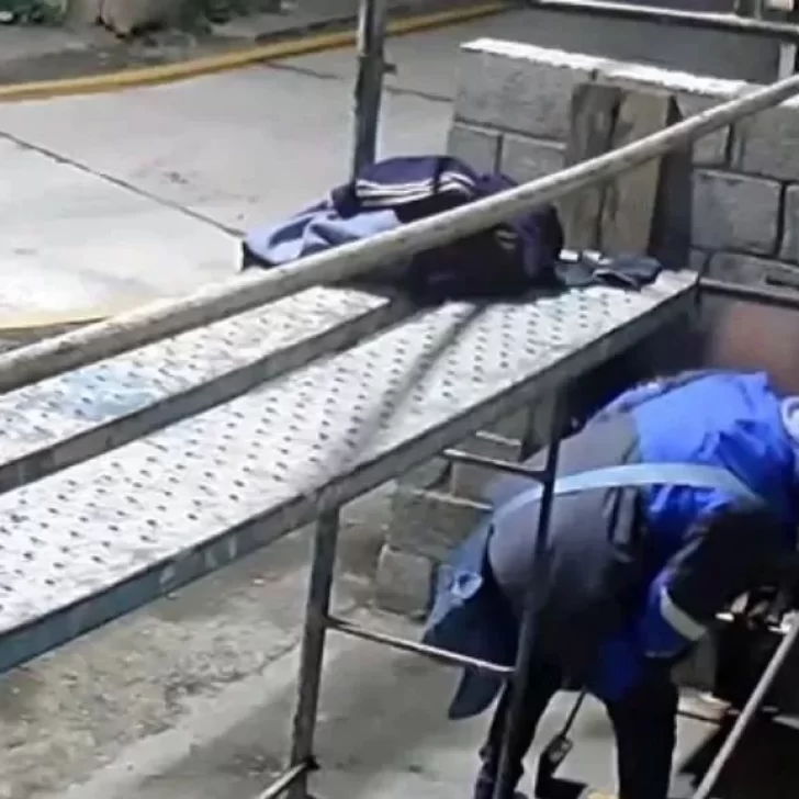 Video. Entró a robar y se llevó una tira de asado de una parrilla Video. Entró a robar y se llevó una tira de asado de una parrilla