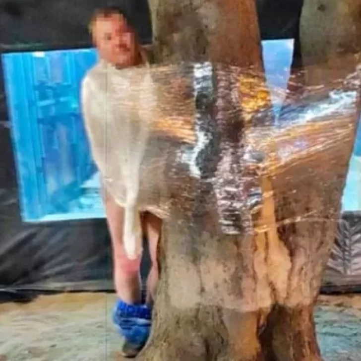 Un hombre terminó desnudo y atado a un árbol: habría acosado a un menor de edad en el baño de un pub