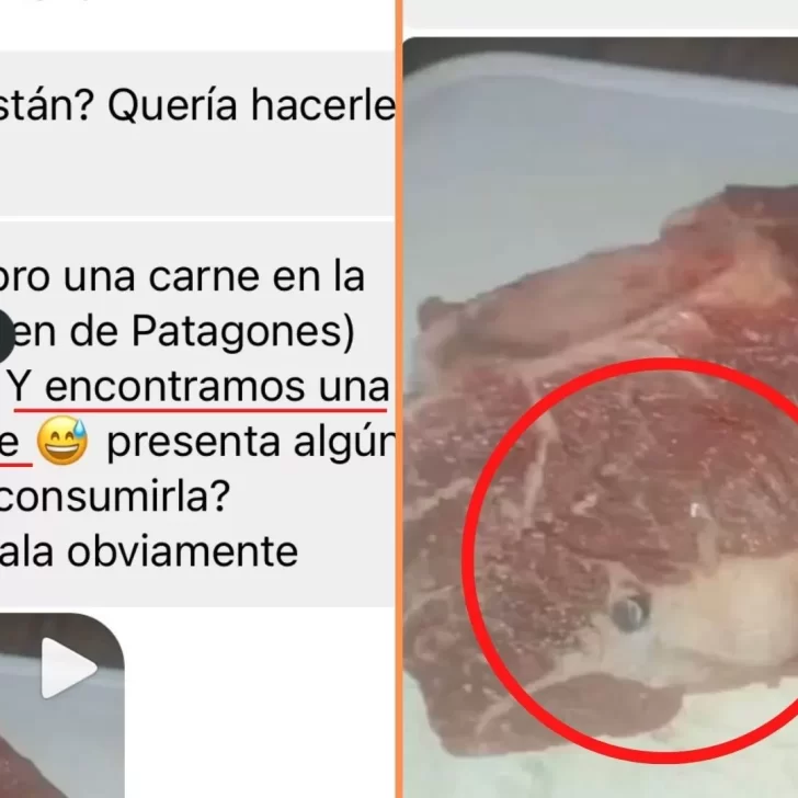 Compró carne y le vino con una bala adentro: preguntó si se podía comer y se hizo viral Compró carne y le vino con una bala adentro: preguntó si se podía comer y se hizo viral