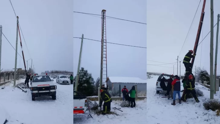 Bomberos rescataron a un gato que estuvo dos días arriba de un poste en plena nevada