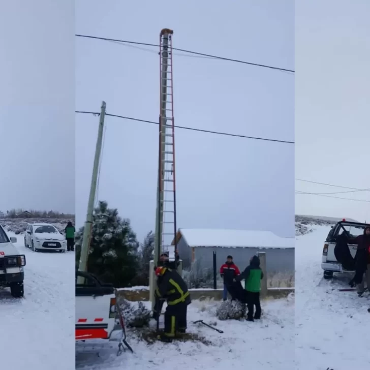 Bomberos rescataron a un gato que estuvo dos días arriba de un poste en plena nevada
