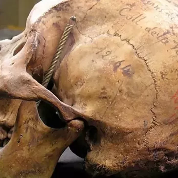 Francia restituirá los restos de un cacique tehuelche: “Según la cosmovisión de los pueblos originarios será honrado como se merece”