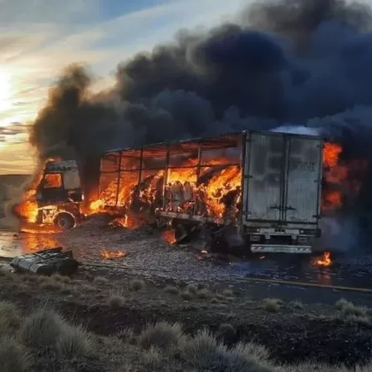 Impresionante incendio de un camión argentino en Chile bloqueó la ruta hacia Río Gallegos y Tierra del Fuego