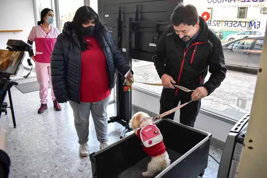 ¡Ponéle la vacuna antirrábica a tu mascota! Jornada gratuita en La Opinión Austral con servicios integrales