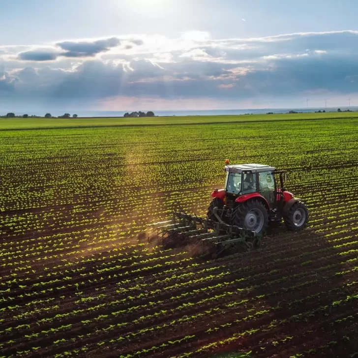 Massa anunció nuevas medidas para el campo: cuáles son una por una