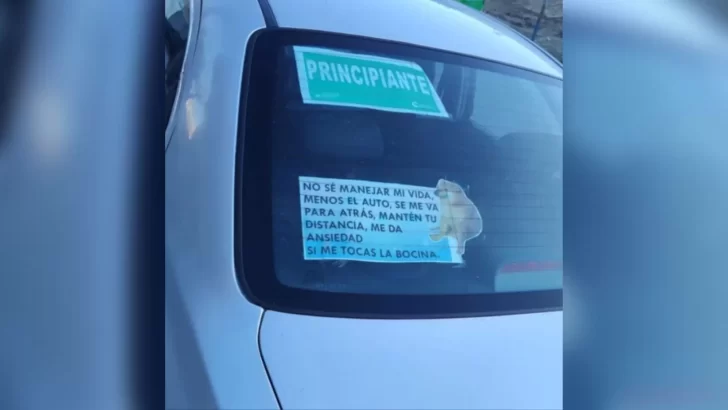 “No se manejar mi vida, menos el auto”: el cómico cartel de un conductor principiante para que le tengan paciencia 