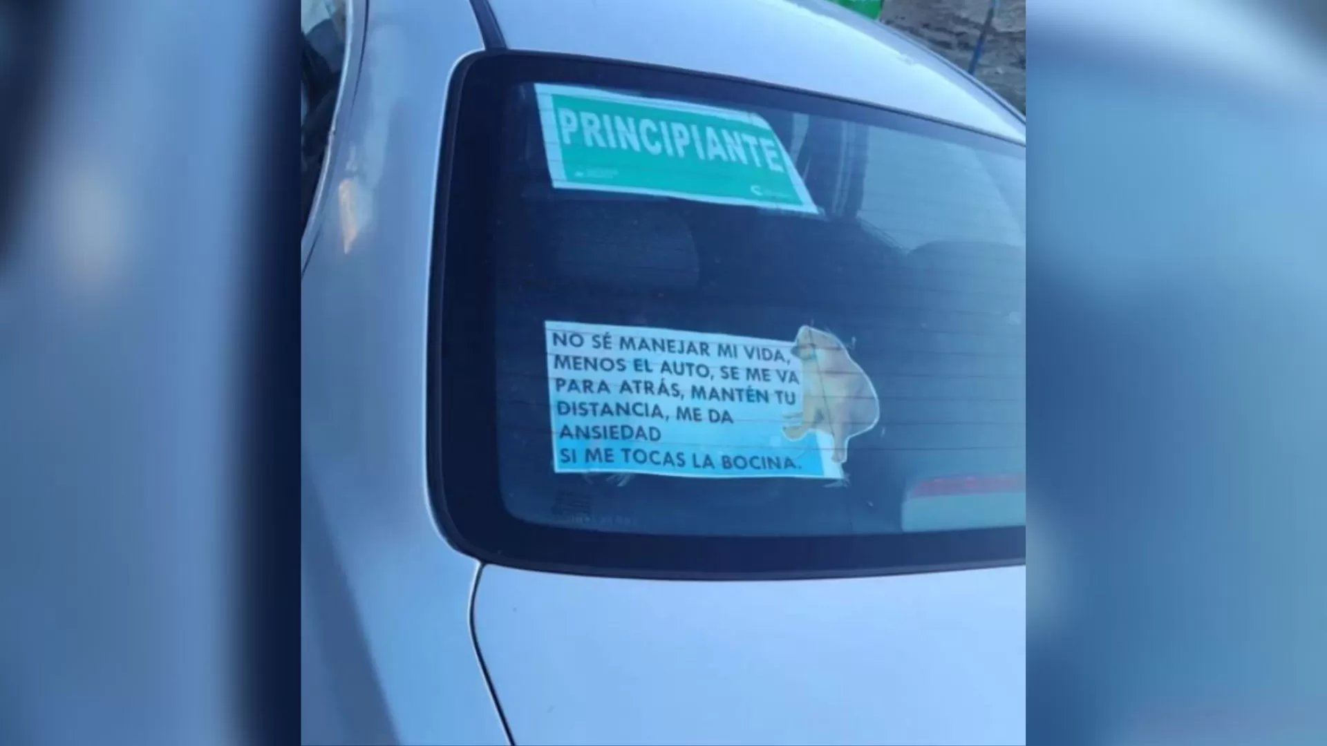 “No se manejar mi vida, menos el auto”: el cómico cartel de un conductor principiante para que le tengan paciencia 