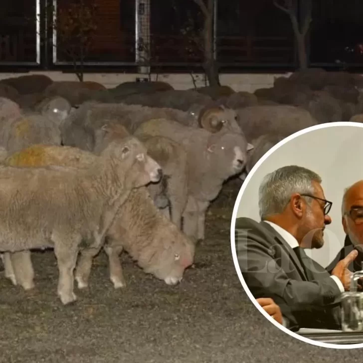 De cuánto es la millonaria multa que deberá pagar Oscar Núñez por la megacausa de abigeato De cuánto es la millonaria multa que deberá pagar Oscar Núñez por la megacausa de abigeato