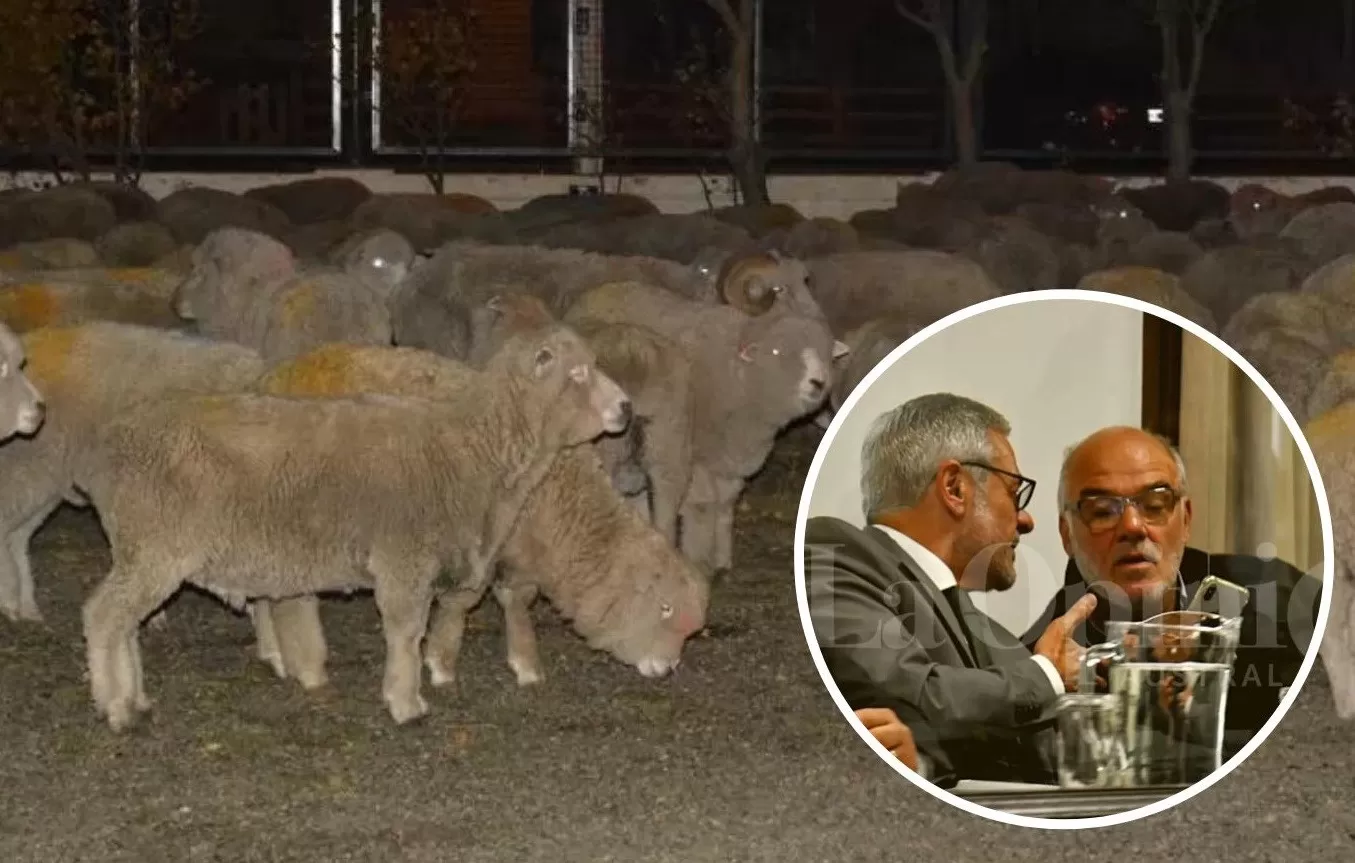 De cuánto es la millonaria multa que deberá pagar Oscar Núñez por la megacausa de abigeato De cuánto es la millonaria multa que deberá pagar Oscar Núñez por la megacausa de abigeato