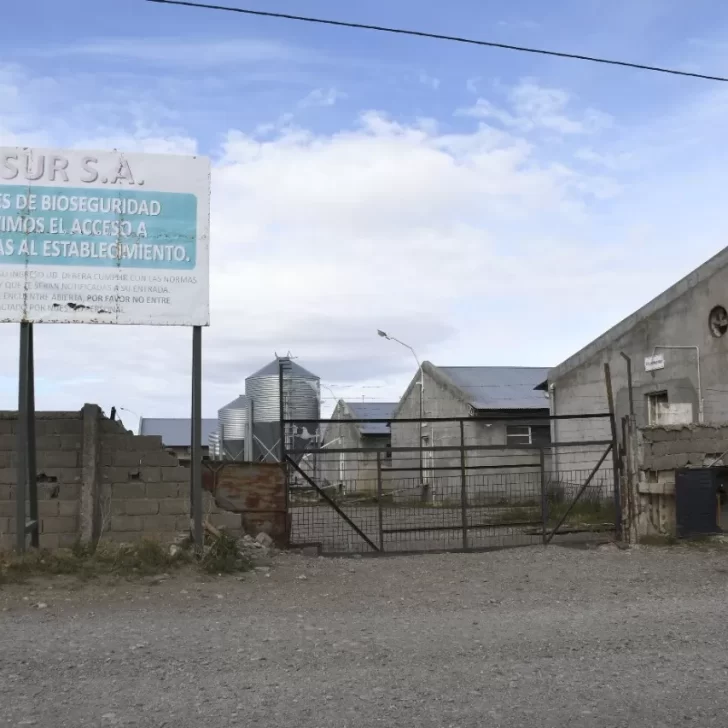 “La chanchería del horror”: la familia del último hombre rescatado pensaba que estaba fallecido “La chanchería del horror”: la familia del último hombre rescatado pensaba que estaba fallecido