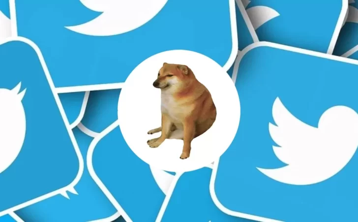 Por qué Twitter cambió su logo por el meme de un perro 