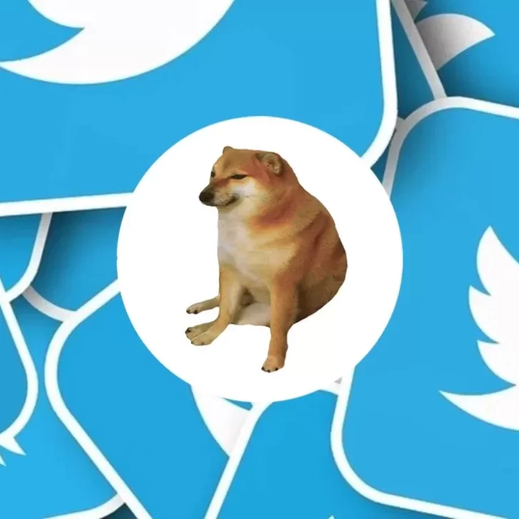 Por qué Twitter cambió su logo por el meme de un perro 