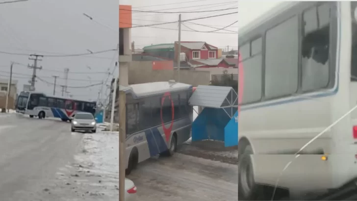 Video: colectivo de City Bus se fue contra una parada del San Benito por la escarcha y terminó con la ventana destrozada