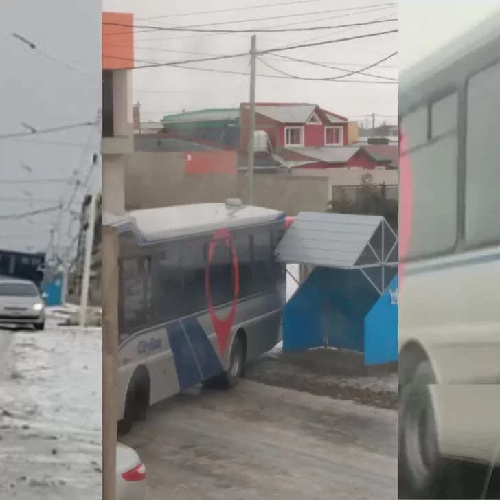 Video: colectivo de City Bus se fue contra una parada del San Benito por la escarcha y terminó con la ventana destrozada