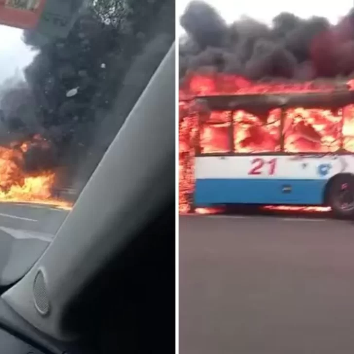 Video. Un colectivo de línea ardió en llamas en plena ruta acceso a Tigre
