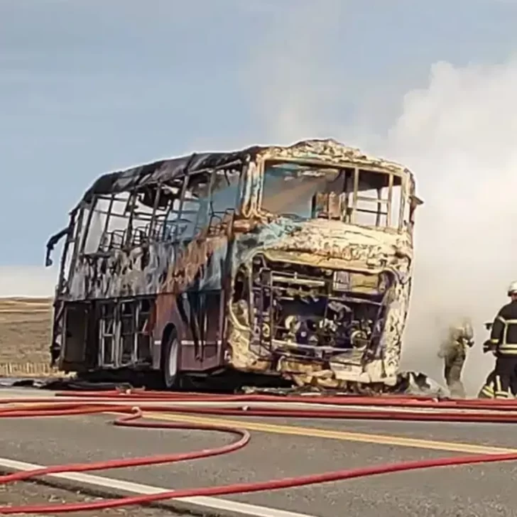 Tierra del Fuego: un colectivo de Marga Taqsa se incendió en plena ruta Tierra del Fuego: un colectivo de Marga Taqsa se incendió en plena ruta