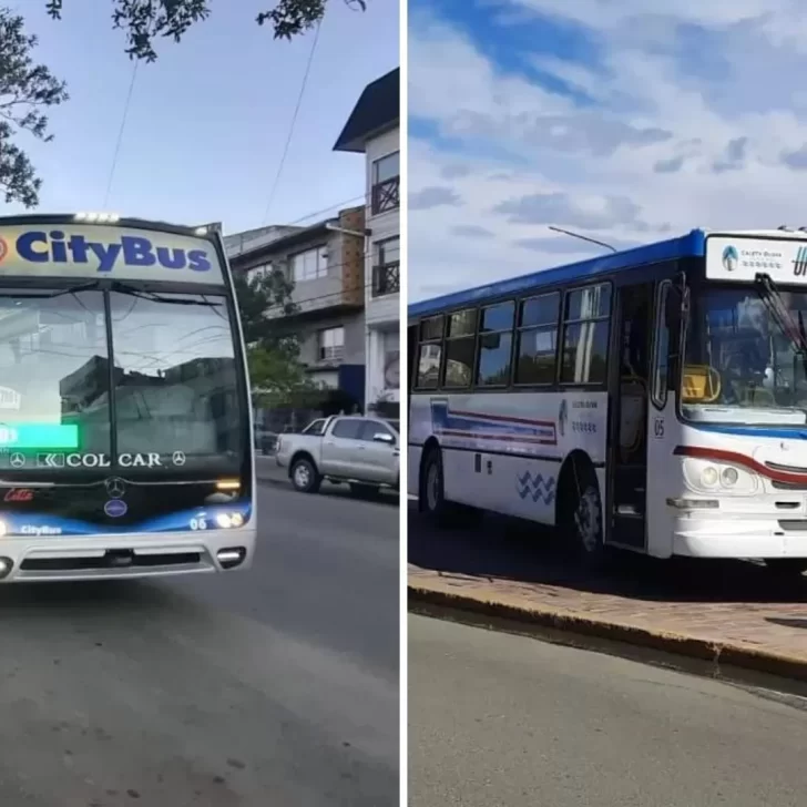 Se levantó el paro de colectivos por conciliación obligatoria: el transporte funciona normal en Río Gallegos