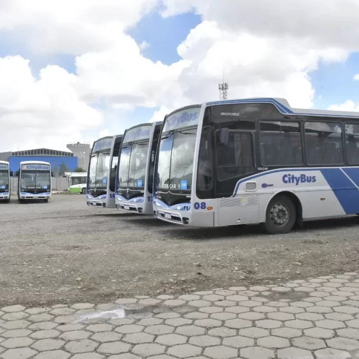 Paro de colectivos: usuarios del transporte público deben “ingeniárselas” para trasladarse