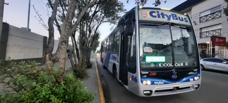 Nueva línea F que va hasta Zona Franca: ¿cómo quedan los recorridos de colectivo y a partir de cuándo cambian?