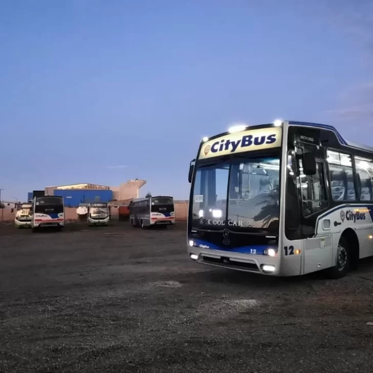 Colectivos en Río Gallegos: cuáles son los horarios y recorridos de todas las líneas