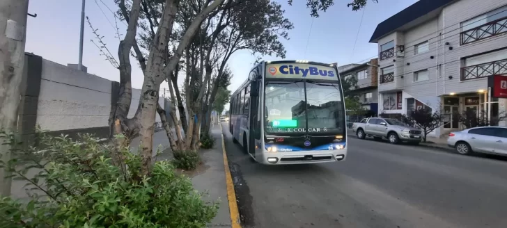 Colectivos: el transporte público será gratuito para las elecciones de este domingo