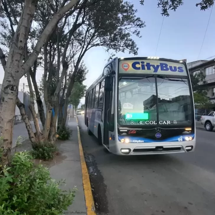 Colectivos: el transporte público será gratuito para las elecciones de este domingo