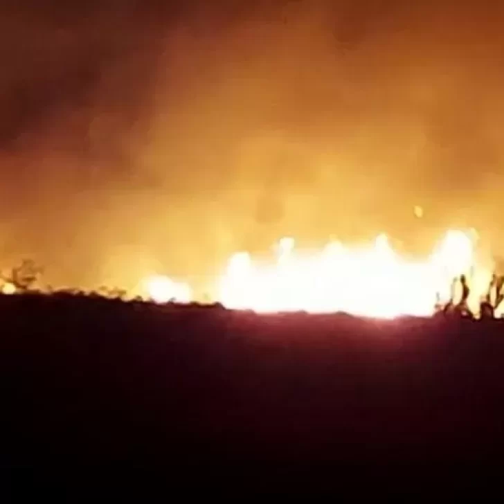 Voraz incendio en la ruta 4 de Río Negro: trabajan bomberos de distintas localidades