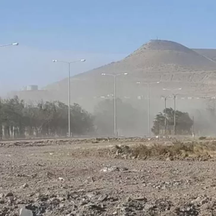 Alerta naranja por viento en Santa Cruz y Chubut: se registraron ráfagas de 140 km/h