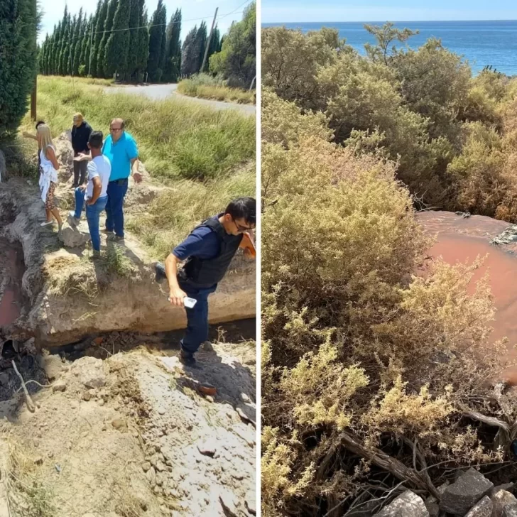 Allanaron a la pesquera Conarpesa en una causa por contaminación del mar en Puerto Madryn