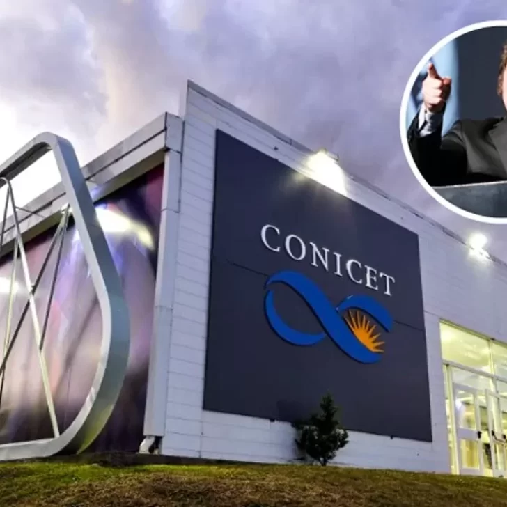En Santa Cruz también criticaron la propuesta de Javier Milei de privatizar el CONICET