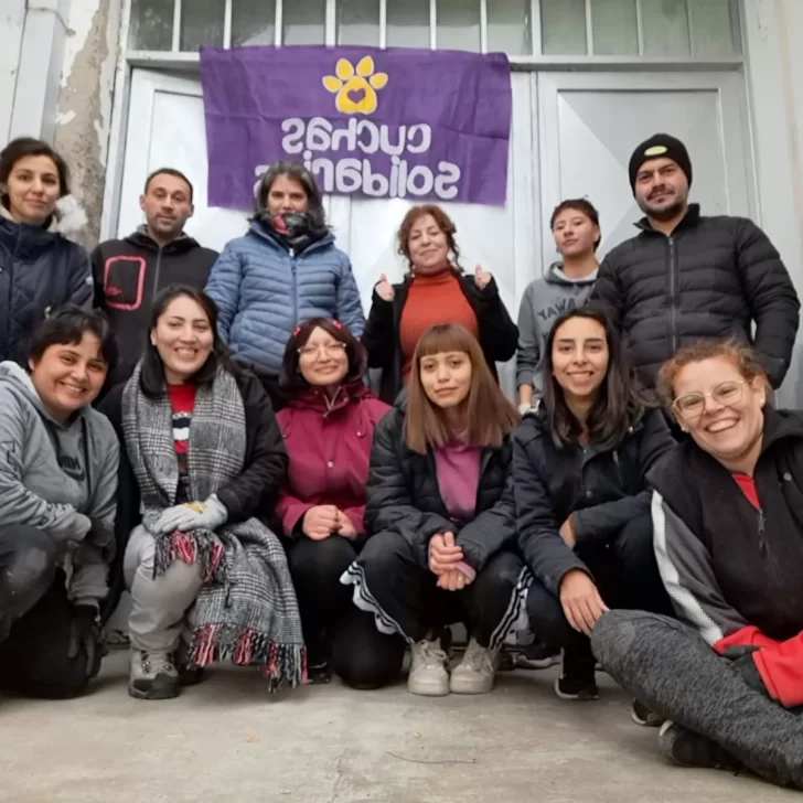 Día Internacional del Animal sin Hogar: son voluntarios y fabricaron un centenar de cuchas para los “callejeritos”