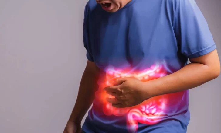 Cómo se contrae la shigella y la salmonella, las bacterias que pueden causar la muerte