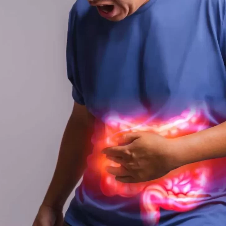 Cómo se contrae la shigella y la salmonella, las bacterias que pueden causar la muerte