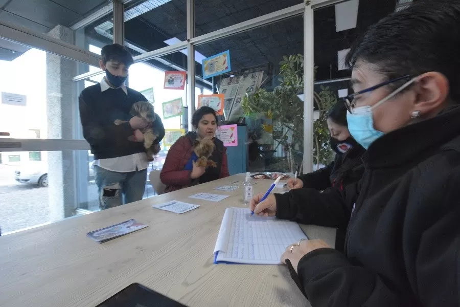 ¡Ponéle la vacuna antirrábica a tu mascota! Jornada gratuita en La Opinión Austral con servicios integrales