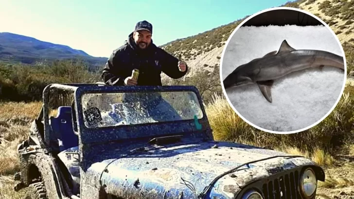 Estremecedor hallazgo: Diego Barría fue devorado por tiburones