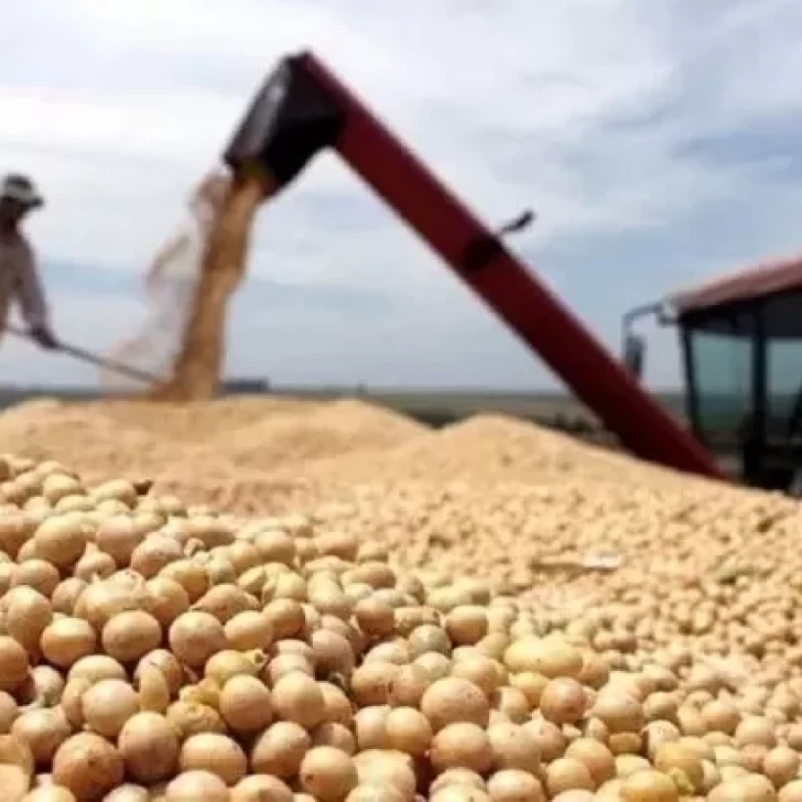 El Gobierno redujo las retenciones a la soja, la carne, el maíz, el girasol y el sorgo El Gobierno redujo las retenciones a la soja, la carne, el maíz, el girasol y el sorgo