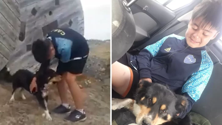 Video. Se reencontró con su perro perdido después de un mes gracias a una denuncia en las redes sociales 