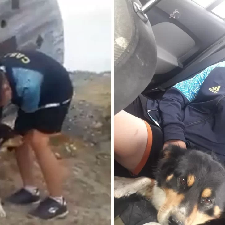 Video. Se reencontró con su perro perdido después de un mes gracias a una denuncia en las redes sociales 