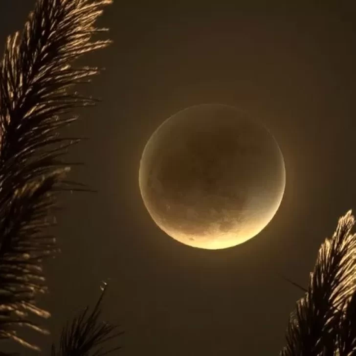 Hoy, 5 de mayo, habrá eclipse lunar: dónde y a qué hora se podrá ver