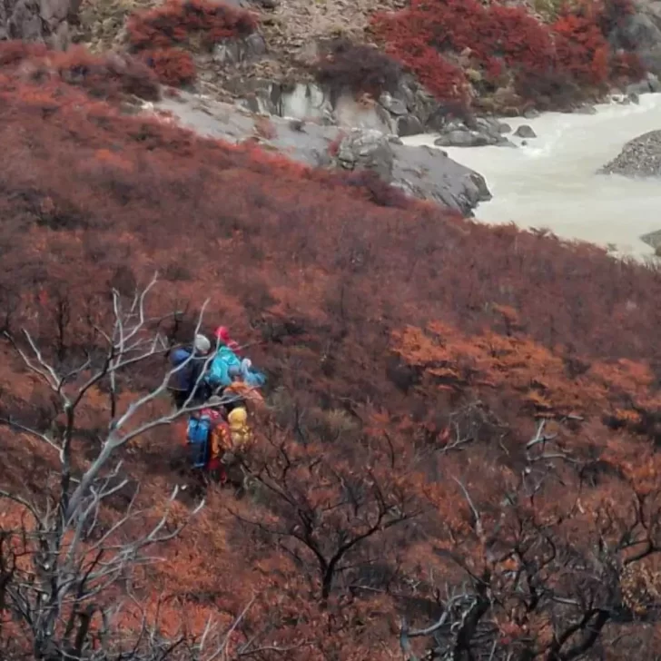 Encontraron a la mujer de 36 años que estaba desaparecida en el Parque Nacional Los Glaciares