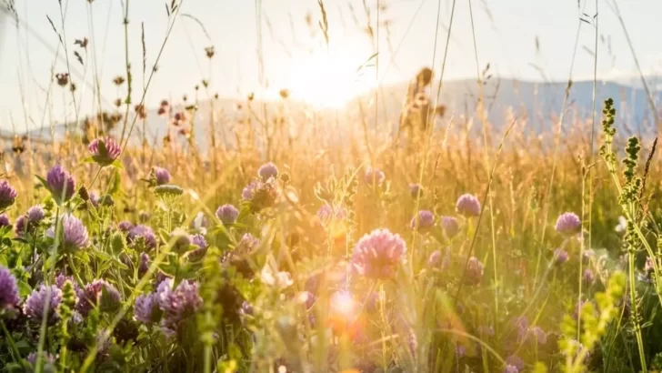 Equinoccio de primavera: cuándo sucede y en qué se diferencia del solsticio