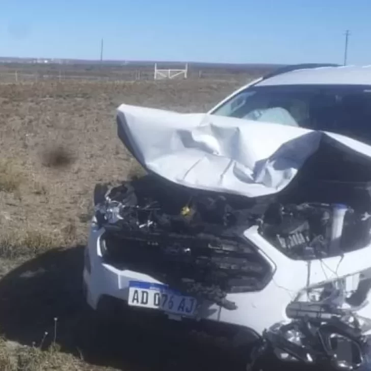 Viajaban hacía Comodoro, se les cruzó un guanaco y lo embistieron