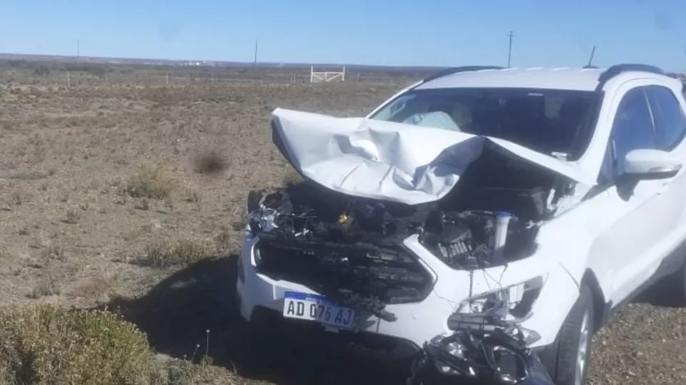 Viajaban hacía Comodoro, se les cruzó un guanaco y lo embistieron