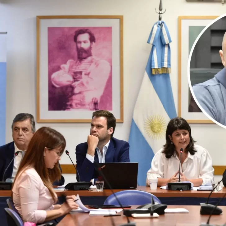 Juicio político a la Corte: Fernando Tanarro declara en el Congreso con foco en el fallo de coparticipación