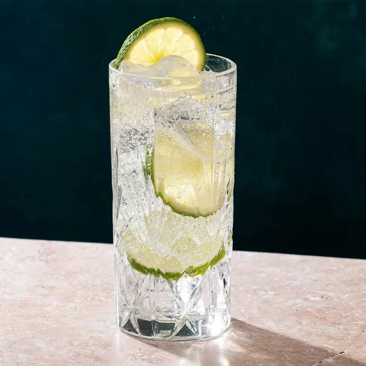 Día Mundial del Gin: historia y recetas de la bebida que es tendencia en las barras argentinas