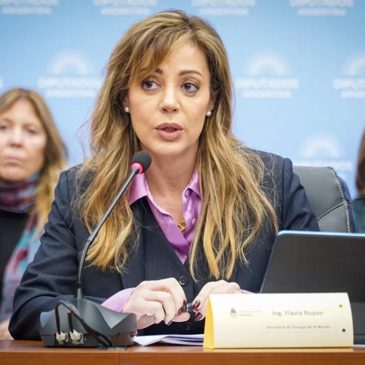 Flavia Royon: “Sergio Massa apuesta a una estabilidad de largo plazo”