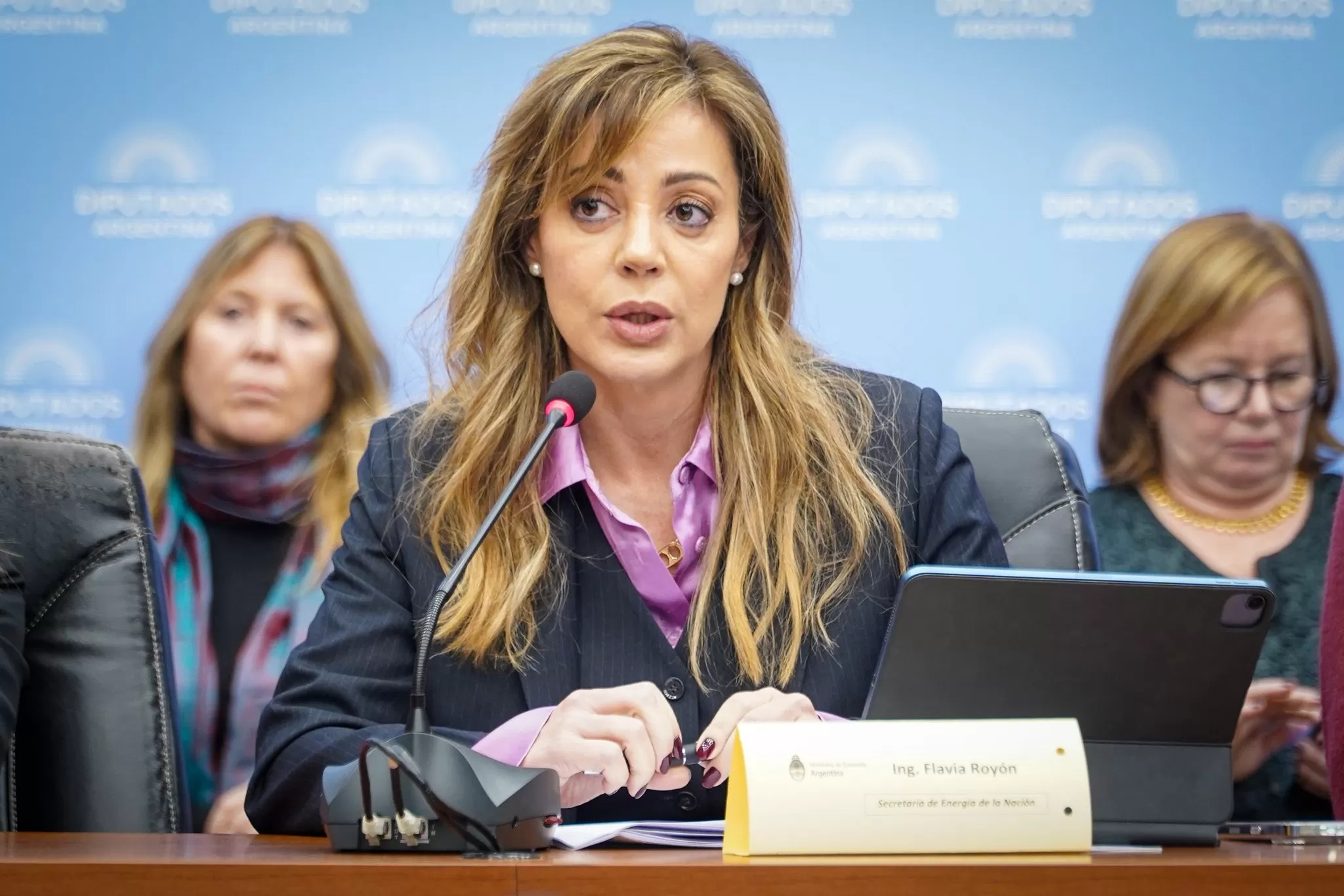 Flavia Royon: “Sergio Massa apuesta a una estabilidad de largo plazo”