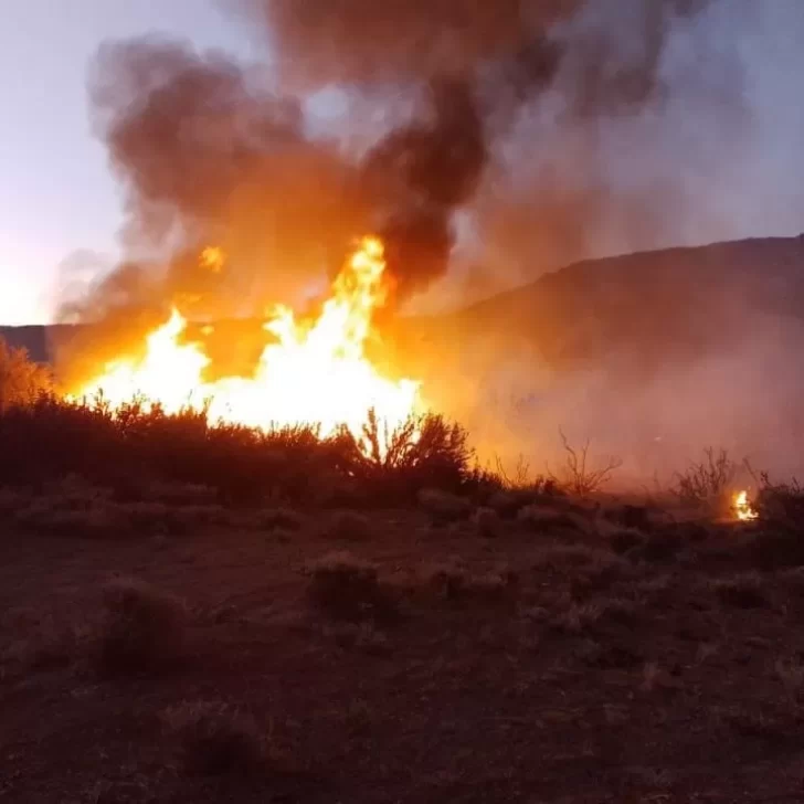 Bomberos combatieron feroz incendio en una chacra