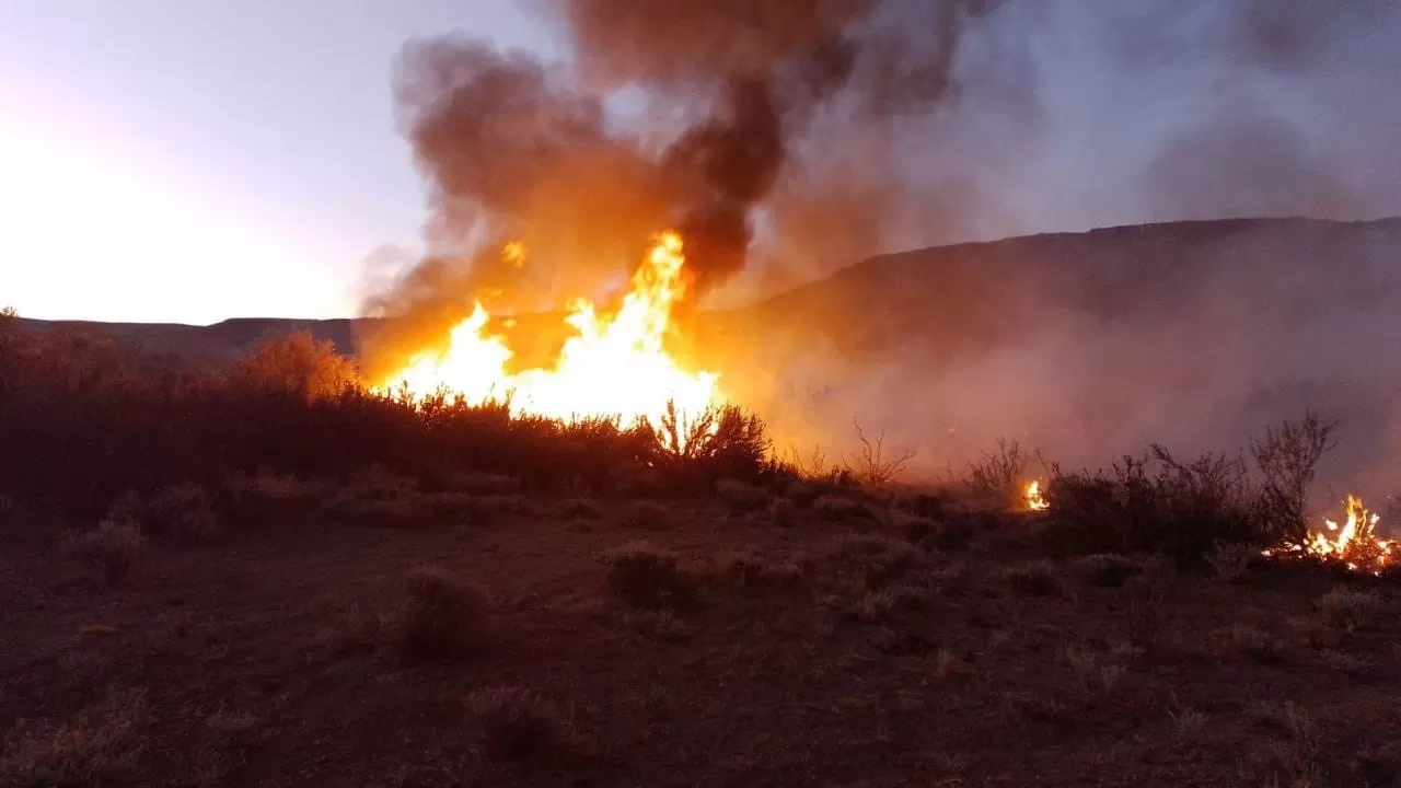 Bomberos combatieron feroz incendio en una chacra