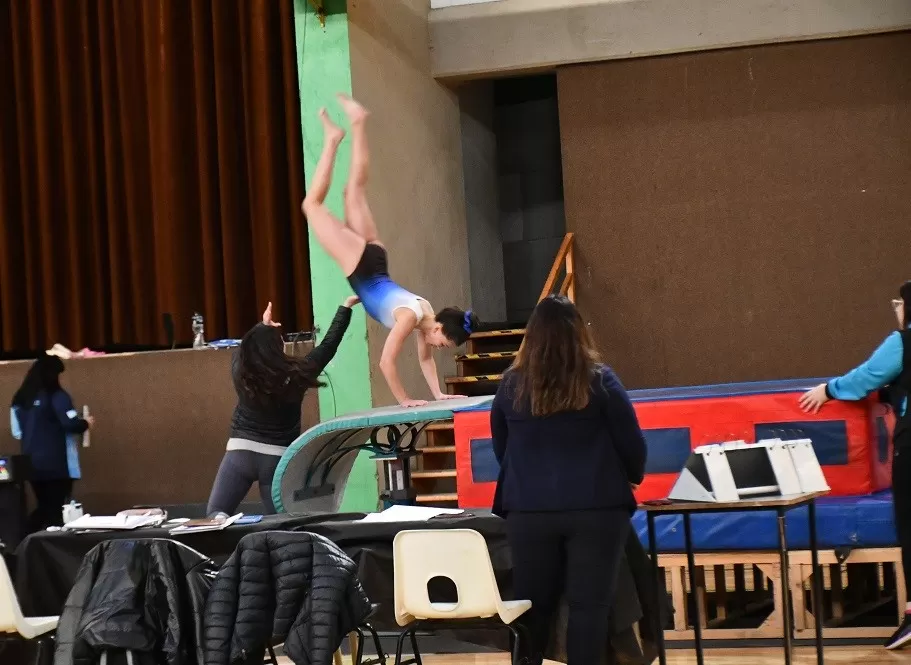 Río Gallegos y Caleta Olivia ganaron los Juegos Evita de gimnasia